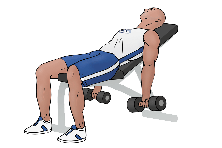 Curl se. Incline Dumbbell Curl. Seated Incline Curls. Slight Incline Seated Dumbbell Curls. Incline Dumbell упражнение.